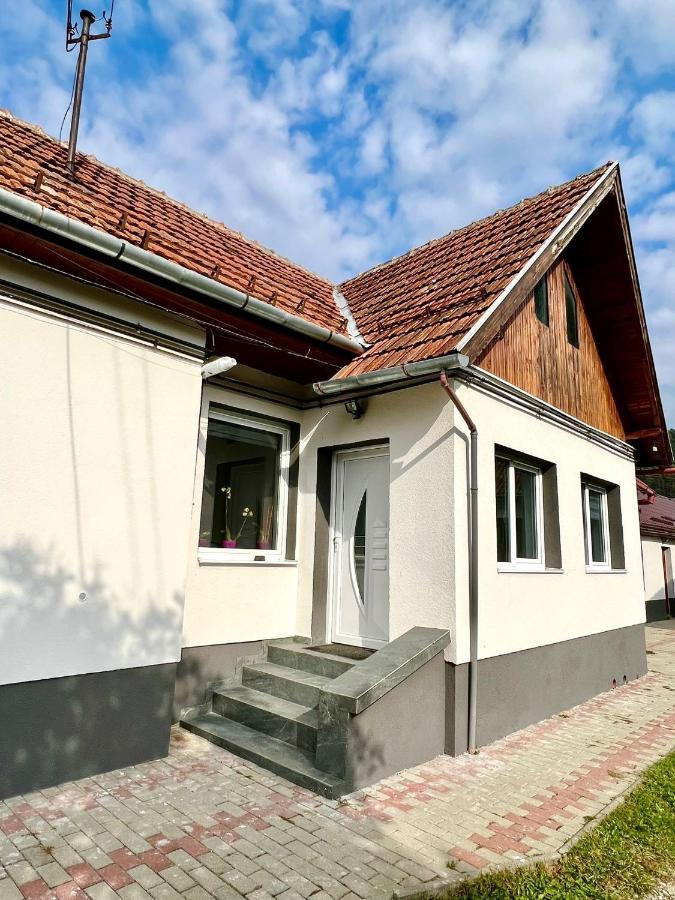 Silver House Rasnov Esterno foto