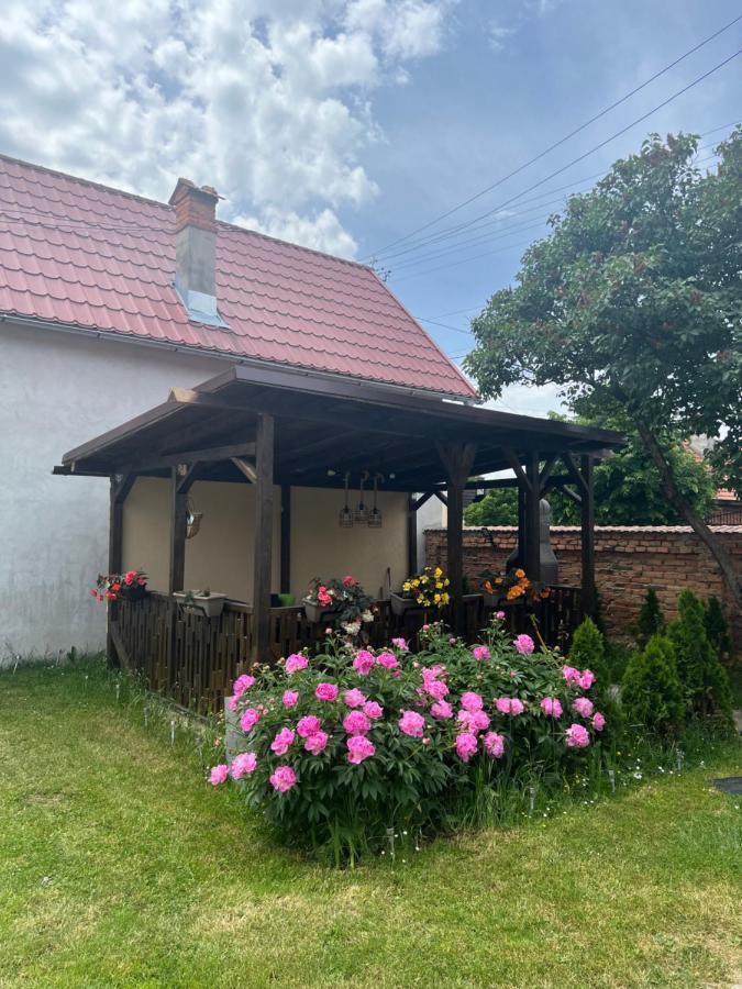 Silver House Rasnov Esterno foto
